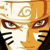 elianavoloshin avatar