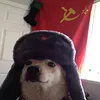 7Maui avatar