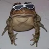 ratzpig avatar