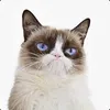 Sad avatar