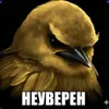 АЗАМАТ ИЗВЕНИ avatar