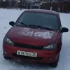Калина непрокура avatar