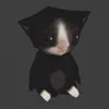 ynopasaxaline avatar