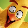AngryBirds avatar
