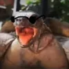 dtn avatar