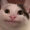 Astra_Peek avatar