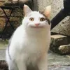 Lucky avatar