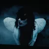 owengreynolds.63 avatar
