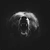 VST_Tw avatar