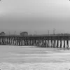 mrholophalahop avatar