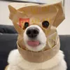 柒yo avatar