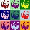 XIAOTOO avatar