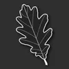 jakbasd avatar