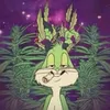 Freezy avatar