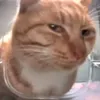 È̴̐̌̿̈́̎̒̇y avatar
