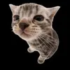 schizopup avatar
