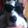 Maslennikovadriana avatar