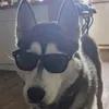 SaaaN avatar
