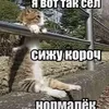 бурмалда avatar