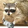 ENOT OREO avatar