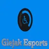 ♿ kiesior ♿ avatar