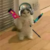 Jeczizz avatar