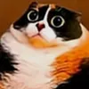 kega avatar