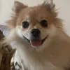 ROZKMINKAッ avatar