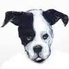 HOUND avatar