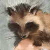 sentient bones avatar