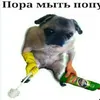 пижор avatar