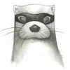 Masked Otter avatar