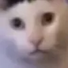 TAKsiKÁR avatar