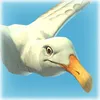 12rrd avatar