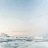 PARADISEOFFICER avatar