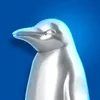 Ifoxxe avatar