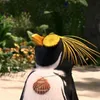 El macho Kadu avatar