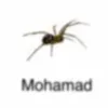 d0bro avatar