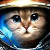ArHanGeL avatar