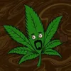 Gabonese_Weed avatar