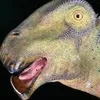 BrummBert avatar