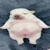 xannybar avatar