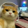 Progibater avatar