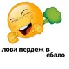 я сру, вы нюхаете avatar