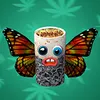 KuSH-1H avatar
