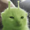 Yu avatar