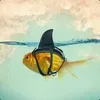 Pbl66a avatar