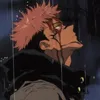 pma avatar