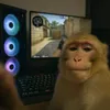 Negative_gg avatar