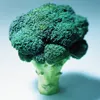 broccoli avatar